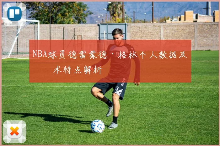 NBA球员德雷蒙德·格林个人数据及技术特点解析